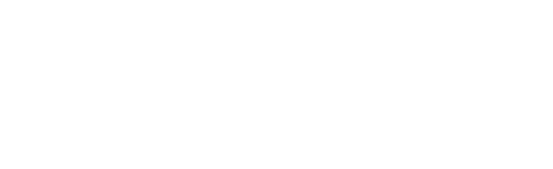 Asel Tech